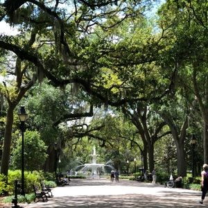 Meet your Posher, Arlene